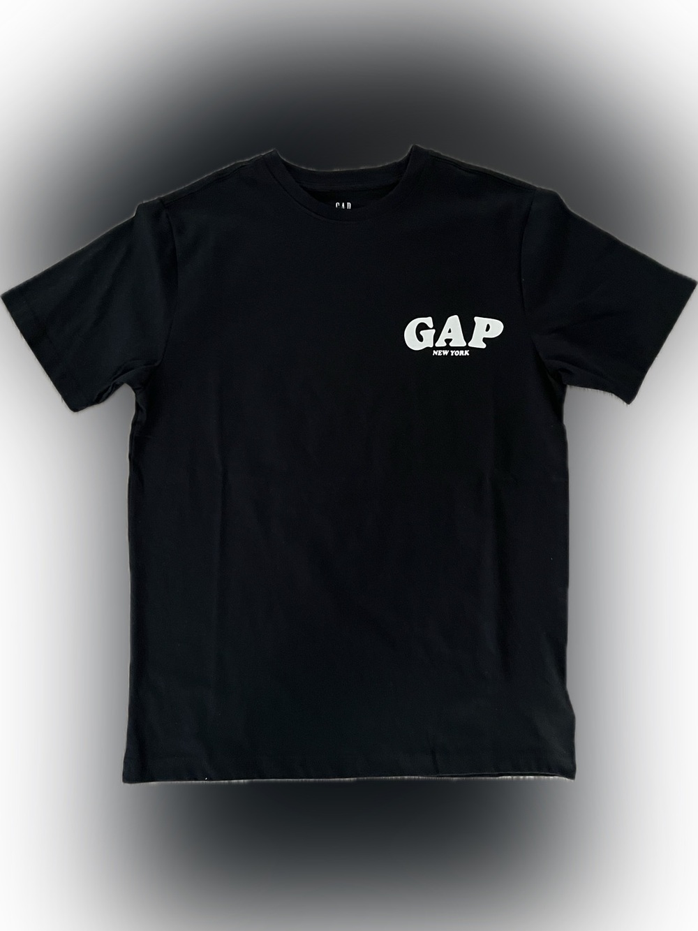 [NEW]  GAP Central Park Crew Neck Tee Shirt